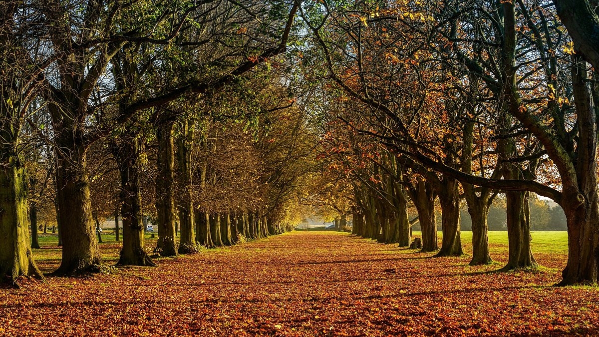 Verabschieden Sie sich vom Sommer! Der Herbst beginnt offiziell HEUTE NACHT, da die Sonne direkt über dem Äquator scheint - wodurch Tag und Nacht gleich lang sind