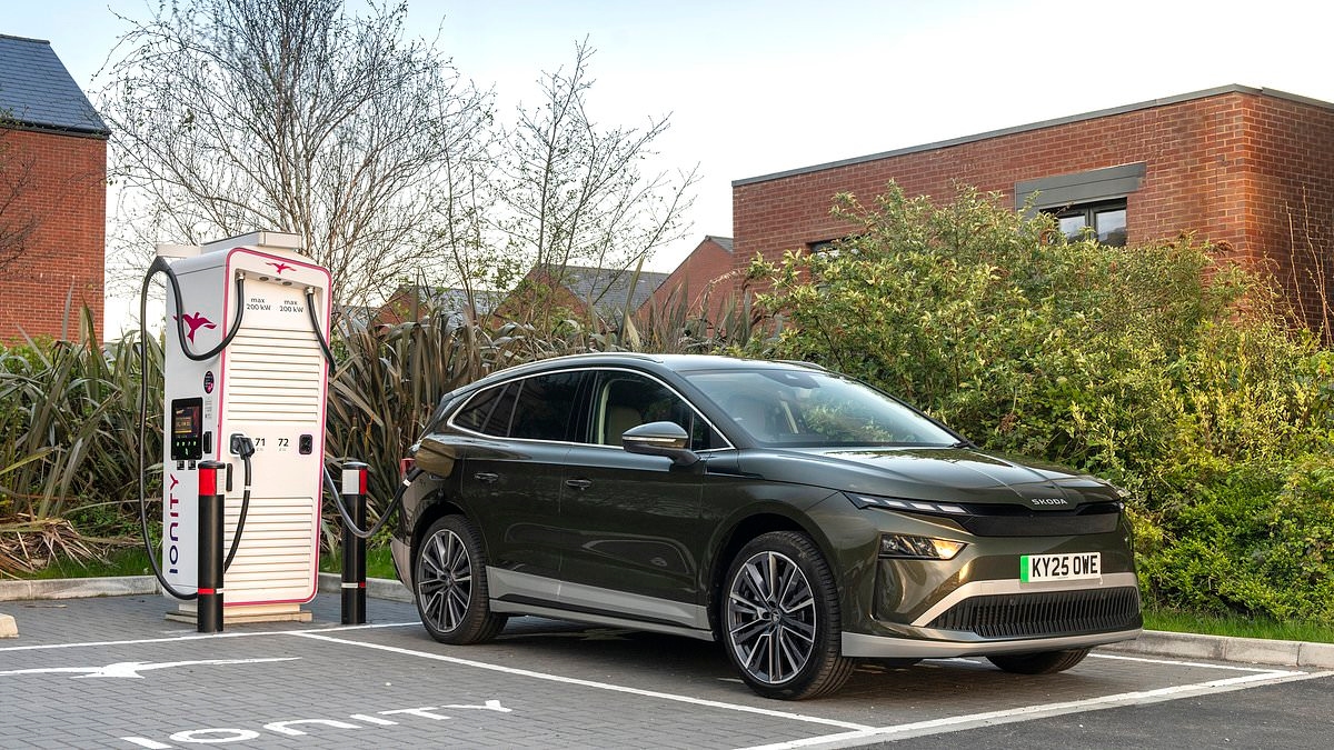Günstigste Elektroautos mit Versicherungsschutz, die für neue Förderung in Frage kommen – wir bewerten 24 Modelle mit einer Warnung bei Schräghecklimousinen
