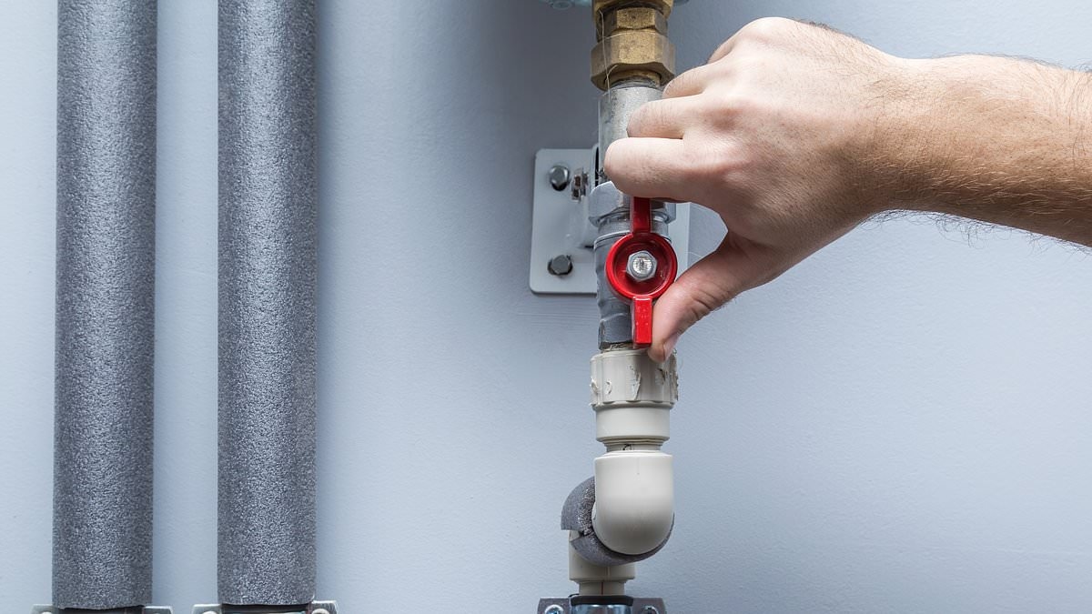 Millions of Britons have NO IDEA how to switch off water, gas or electric in an emergency
