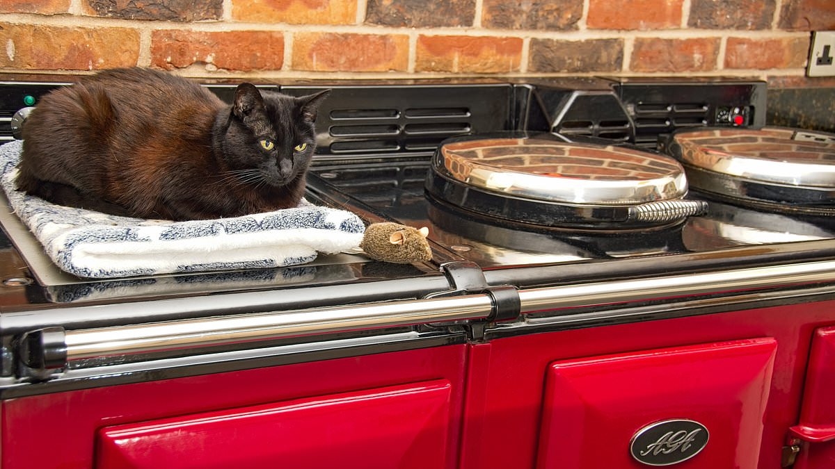 How can we get the sellers of the house we're buying to let us keep their Aga?