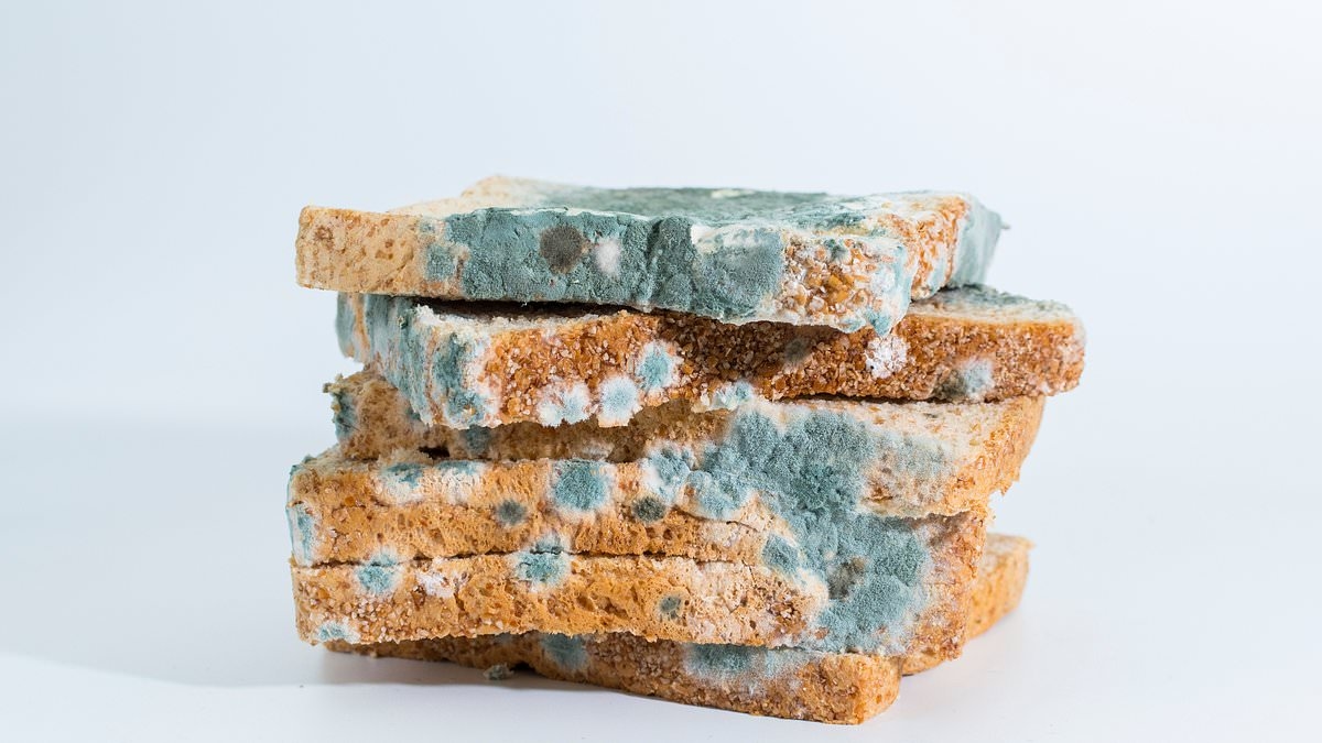 Токсиколог назвал продукты, которые НИКОГДА нельзя есть, если они заплесневели: это может привести к повреждению органов или раку