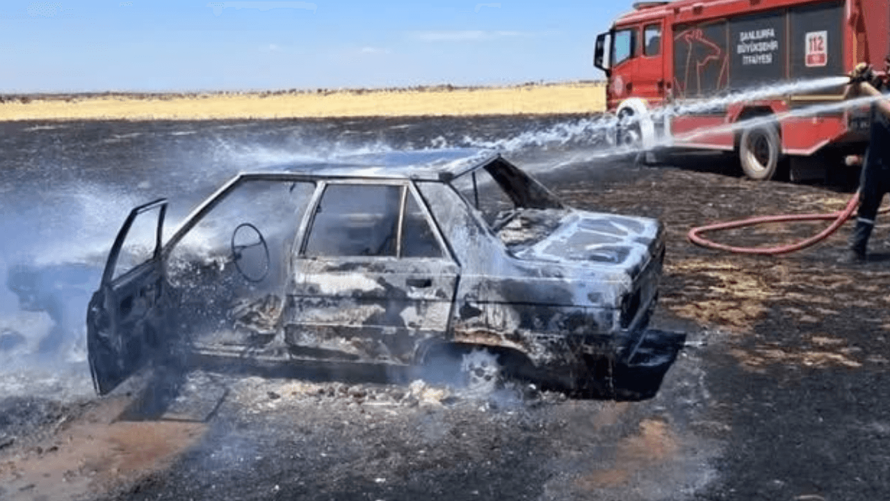 The car in the field burned to ashes