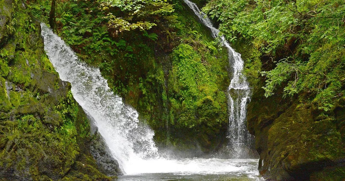 Visité un lugar secreto en el Reino Unido que se parece a Bali y no podía creer lo hermoso que era.