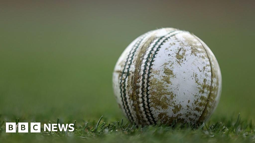 Teenage cricketer dies in Melbourne after being hit by ball