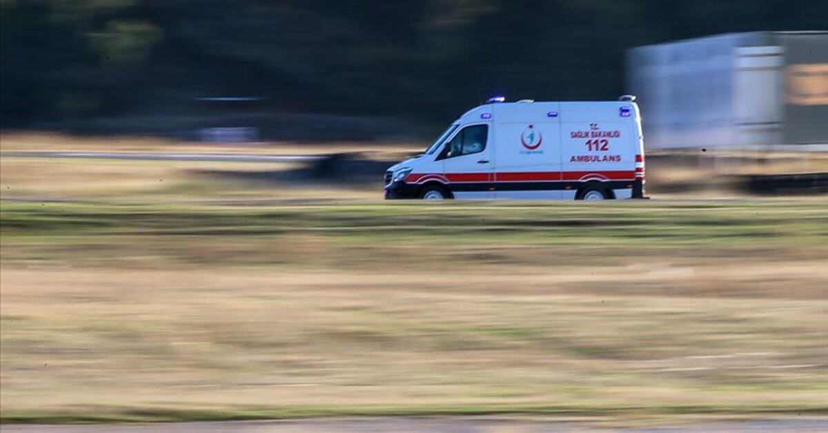 İşçilerin üzerine tomruk devrildi: 1 ölü, 1 yaralı