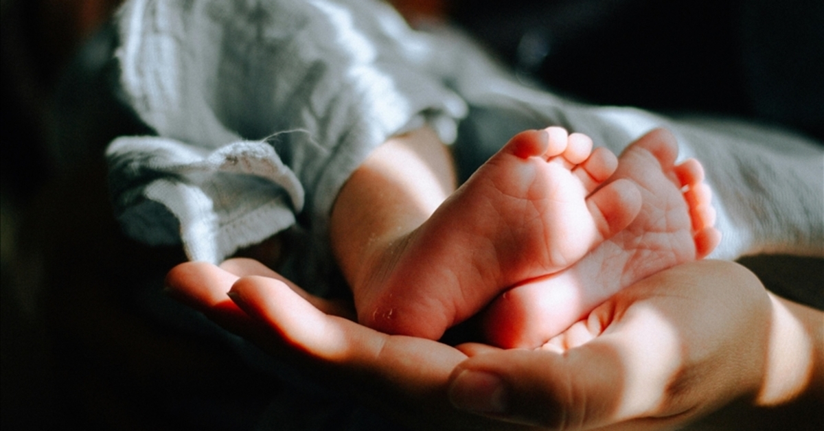 The decline in birth rates in Germany continued into 2024
