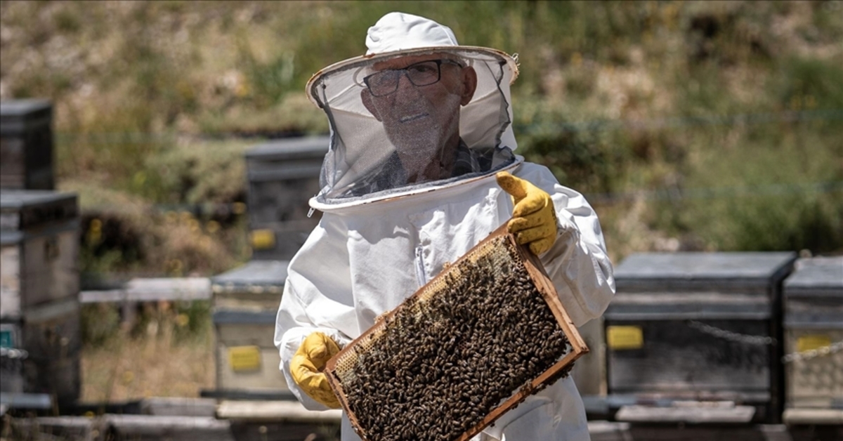 ¡Venció el cáncer! Vive su segunda primavera con abejas.