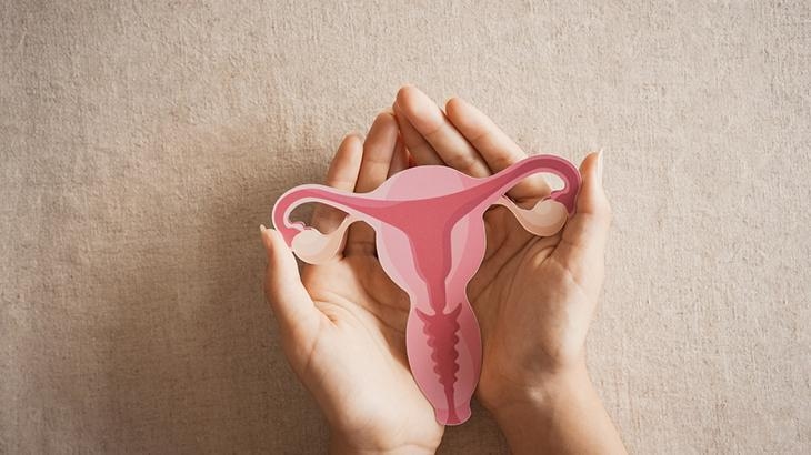 ¿Cuáles son las diferencias entre el síndrome de ovario poliquístico y el síndrome de ovario poliquístico (SOP)? Síntomas, diagnóstico y tratamiento.