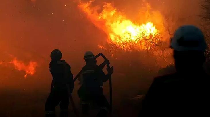 I nostri polmoni bruciano! Incendi boschivi in ​​molte province! Immagini strazianti da Çeşme...