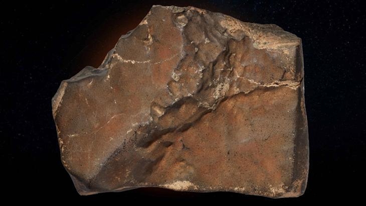 The largest Martian meteorite found on Earth could sell for a record price