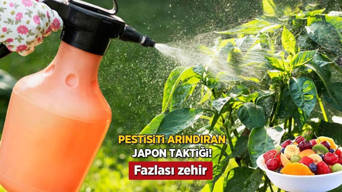 Japanische Taktik zur Zerstörung von Pestiziden in Obst und Gemüse! 2 Zutaten zu Hause reichen aus