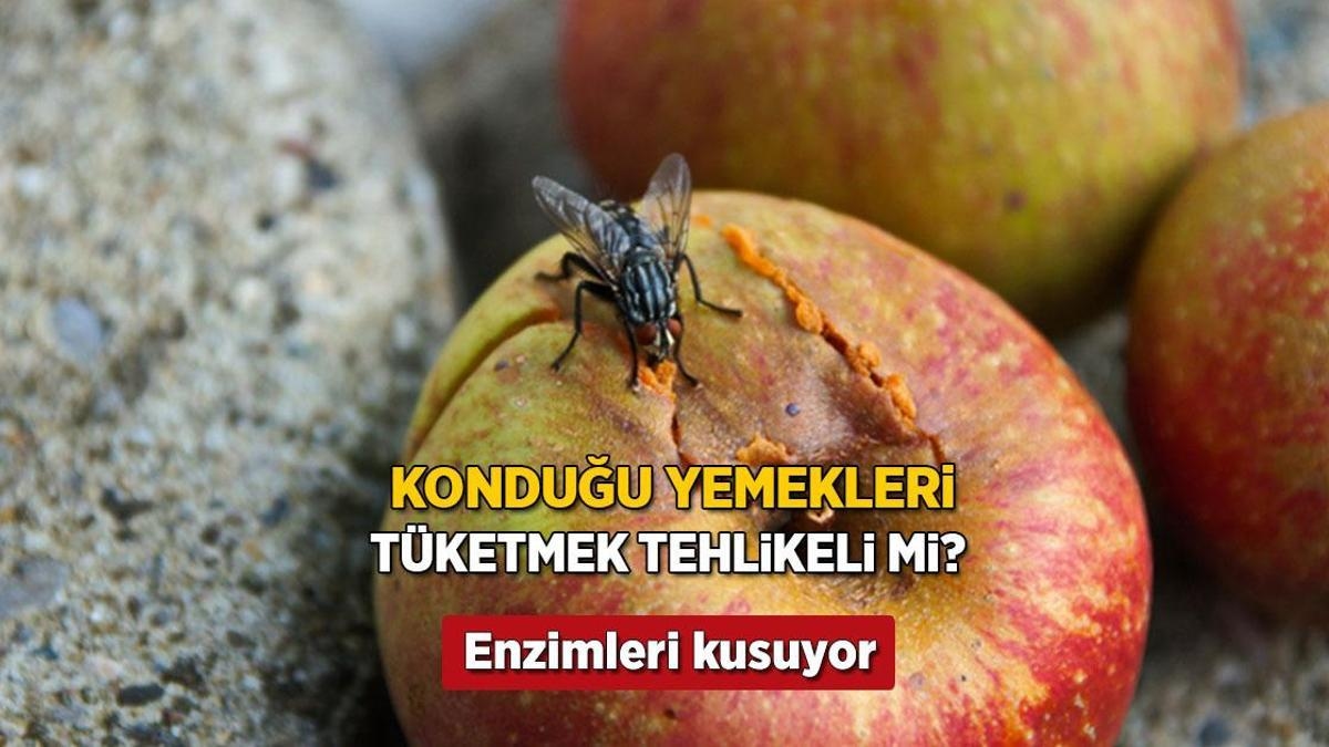 Вот как муха, севшая на еду, её портит! Куда бы она ни приземлилась, она оказывается ядом.
