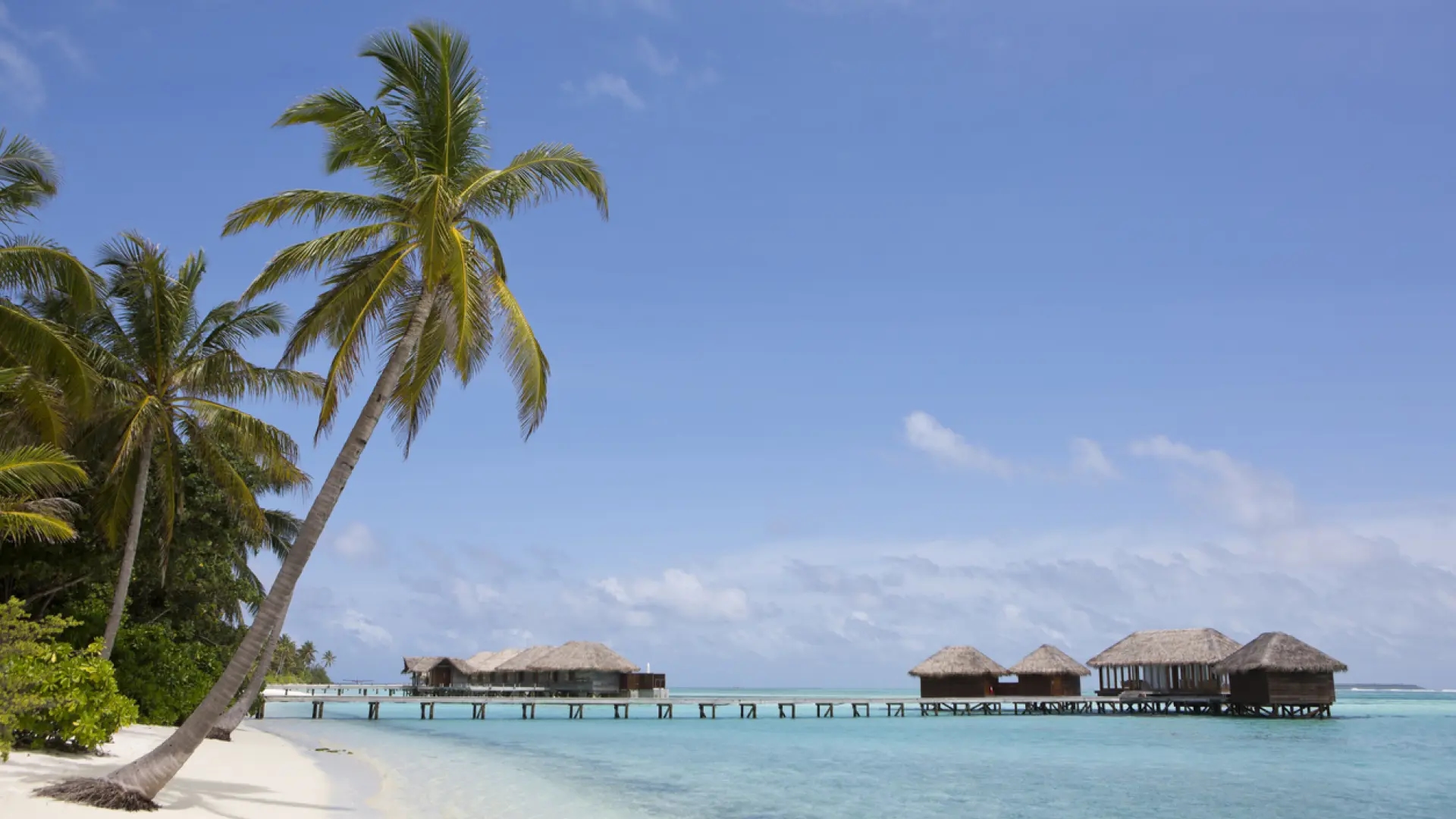 Fünf Tipps von einem Reise-Influencer für eine Reise auf die Malediven, ohne ein Vermögen auszugeben.
