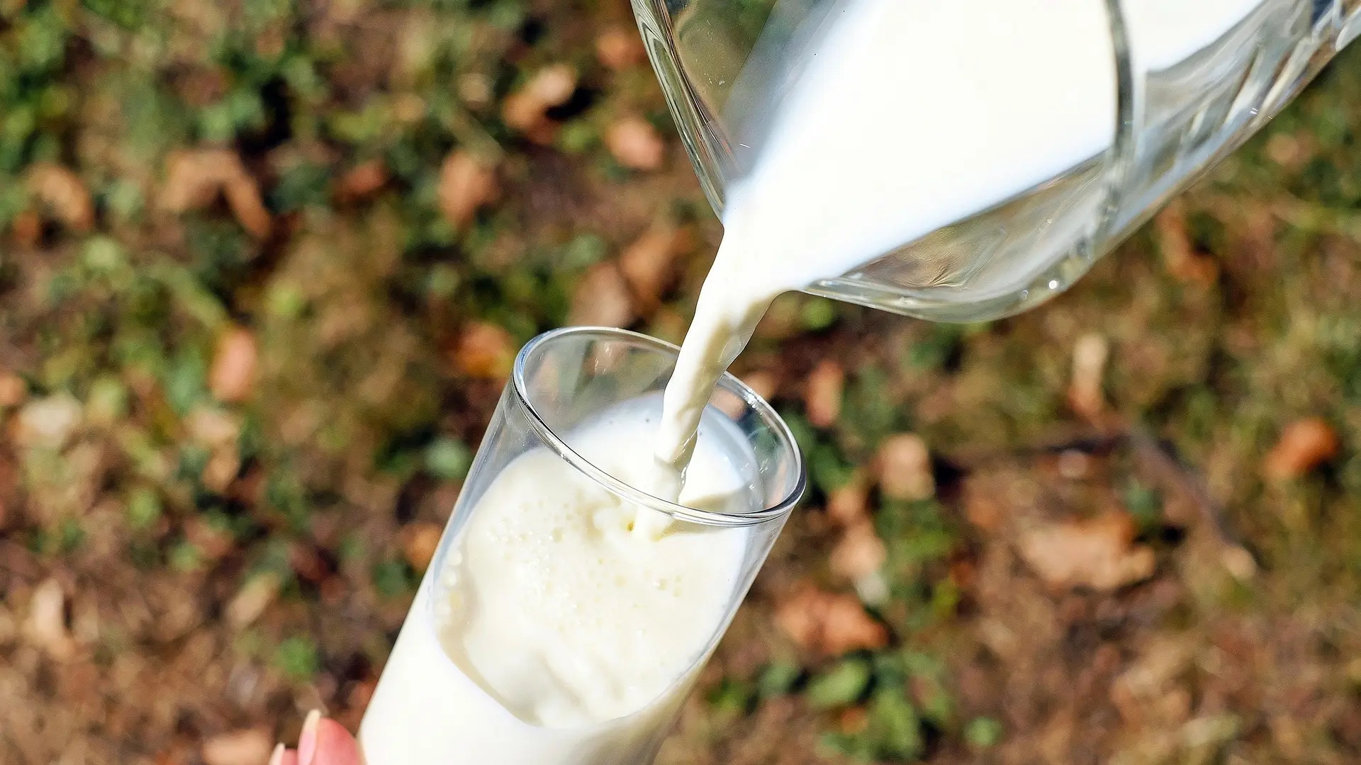 Sara Marin Berbell, doctora experta en microbiota: "Hay cosas más importantes que beber leche para cuidar los huesos"