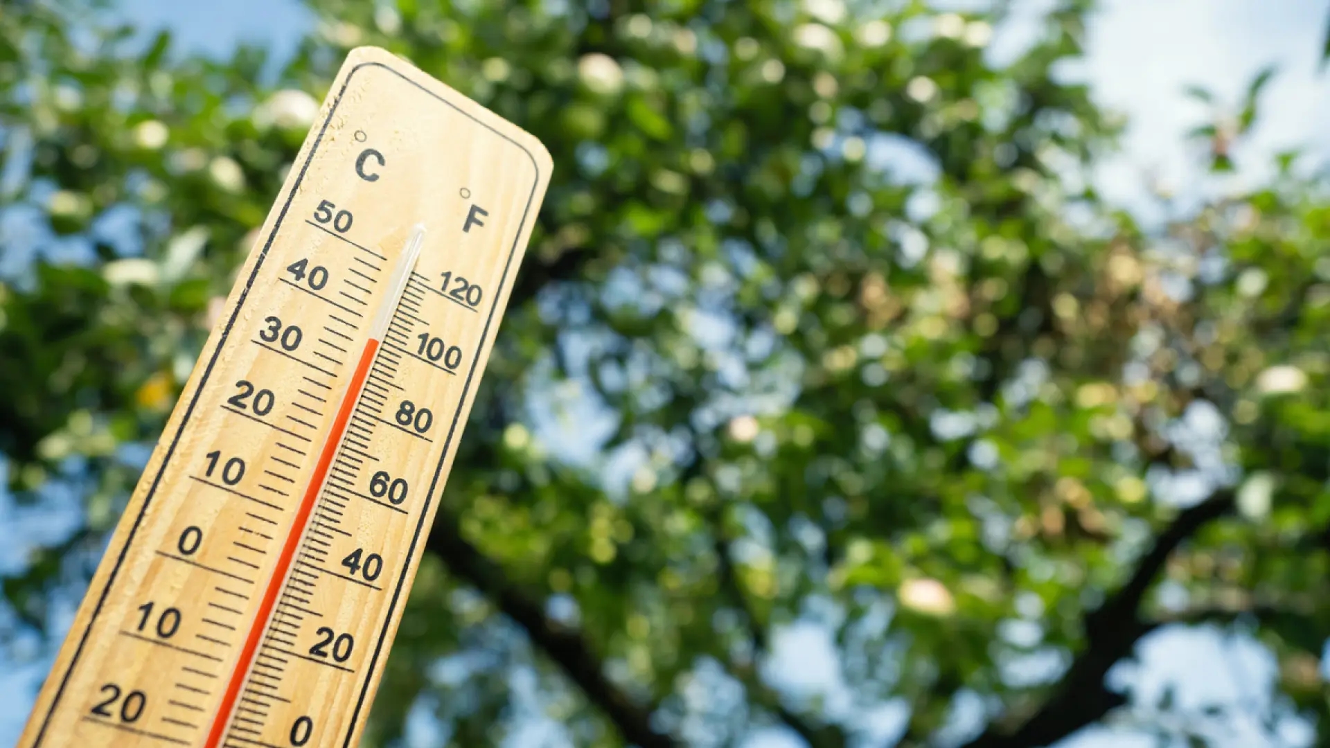 Wie wirken sich hohe Temperaturen auf das Gehirn aus? Experten geben Tipps zum Schutz.
