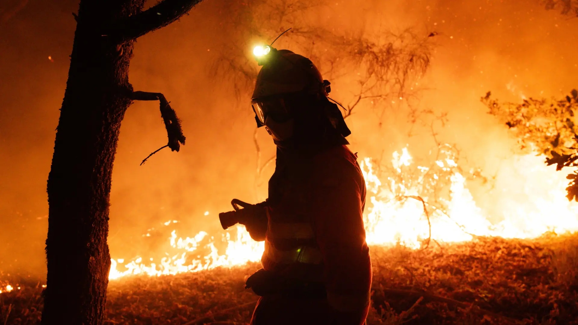 The smoke in the air from the wildfires "can cause great damage to the body," experts say.