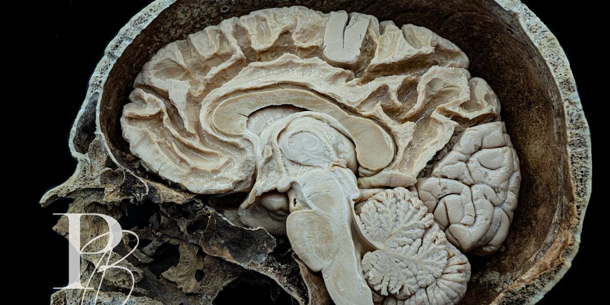 Een röntgenfoto van de hersenen: de kracht van neurologie en farmacogenetica