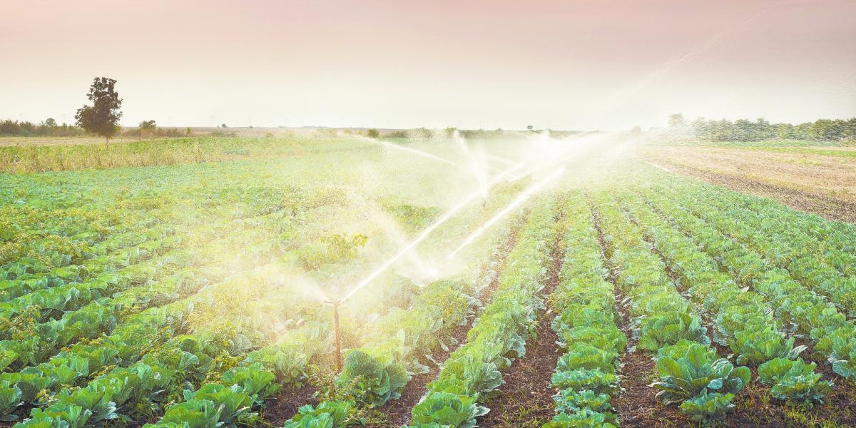 Chiapas gaat 291 miljoen pesos investeren in water- en landbouwinfrastructuur.