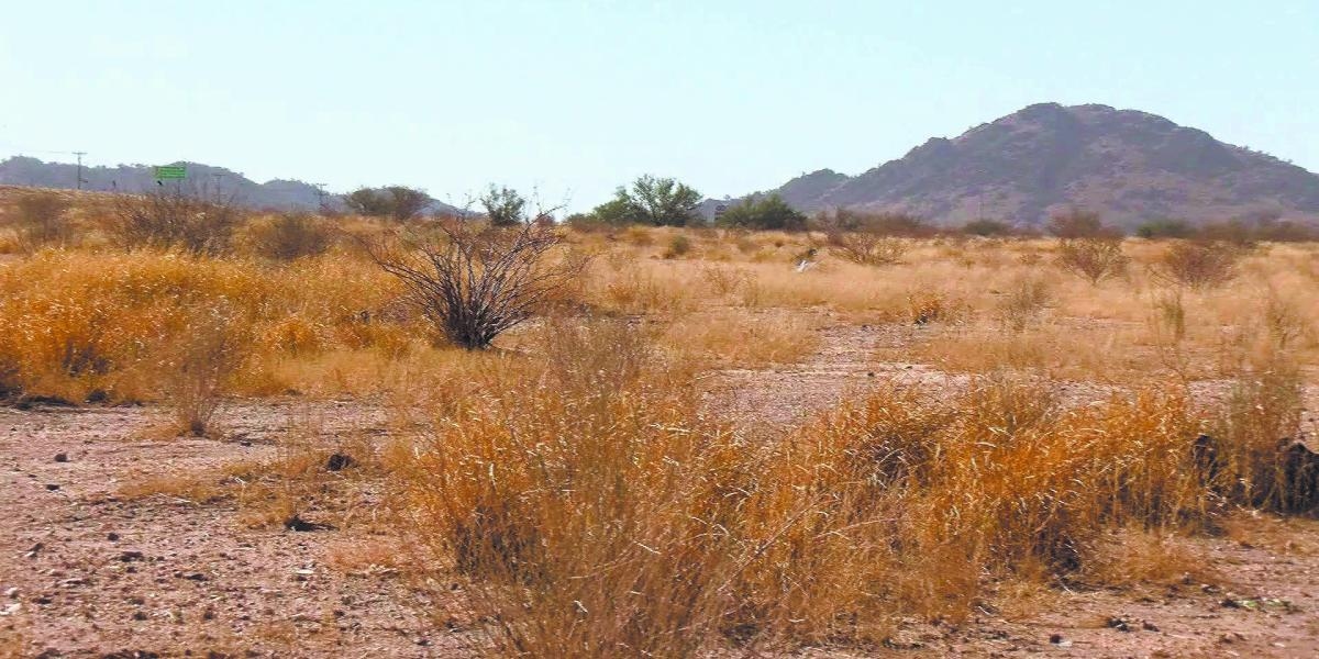 Baja California i Sonora z gorszą suszą niż rok temu
