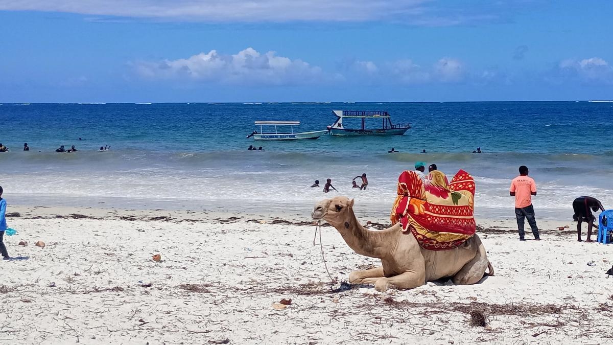 Côte Swahili du Kenya, plages et cités perdues : que visiter dans cette destination africaine ?