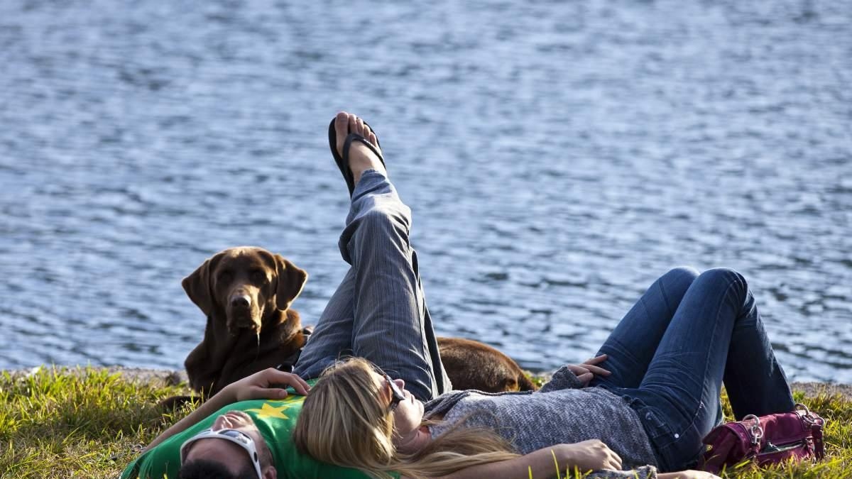 Orlando, Florida: Ein ideales Reiseziel für die Ferien zur Jahresmitte, die Sie mit Ihrem Haustier besuchen können.