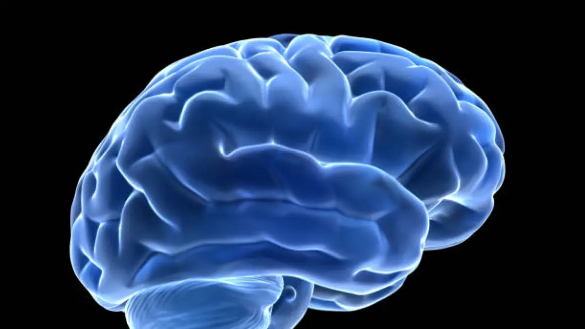 Sentindo-se mentalmente exausto? Foram identificadas áreas do cérebro que controlam a desistência ou a perseverança das pessoas.