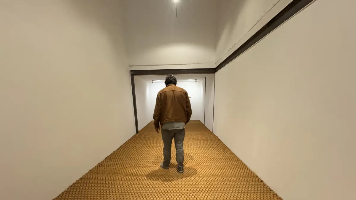 Barichara'da Mangle Kolektifi'nin muhteşem keşfi ve marangozluk, sanat ve toprak tarihi
