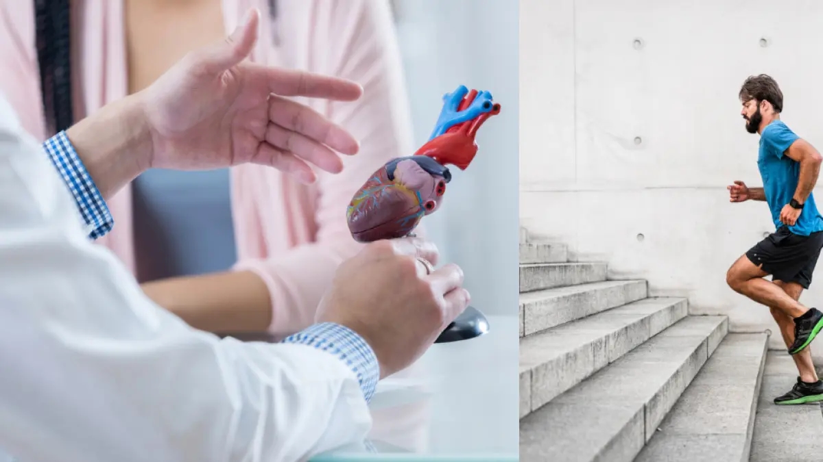 Das tägliche Erklimmen von mindestens 50 Stufen verringert das Risiko kardiovaskulärer Ereignisse und verbessert die Gehirnfunktion, wie neue Studien zeigen.