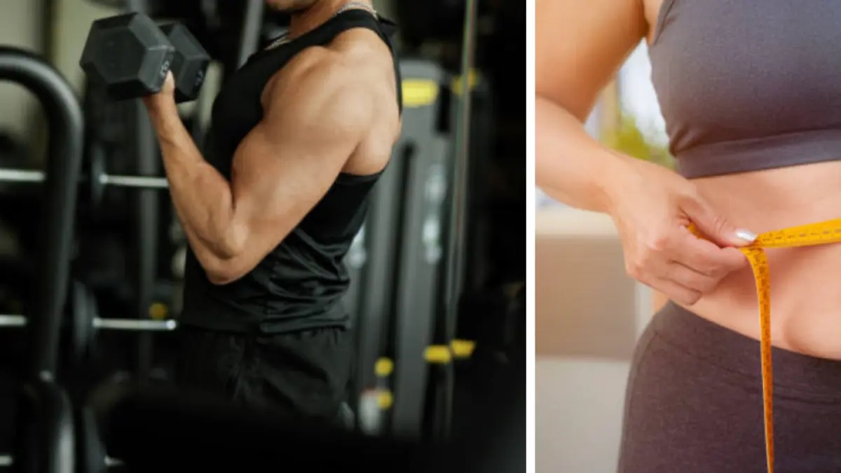 Do muscles turn into fat when we stop stimulating them with exercise?