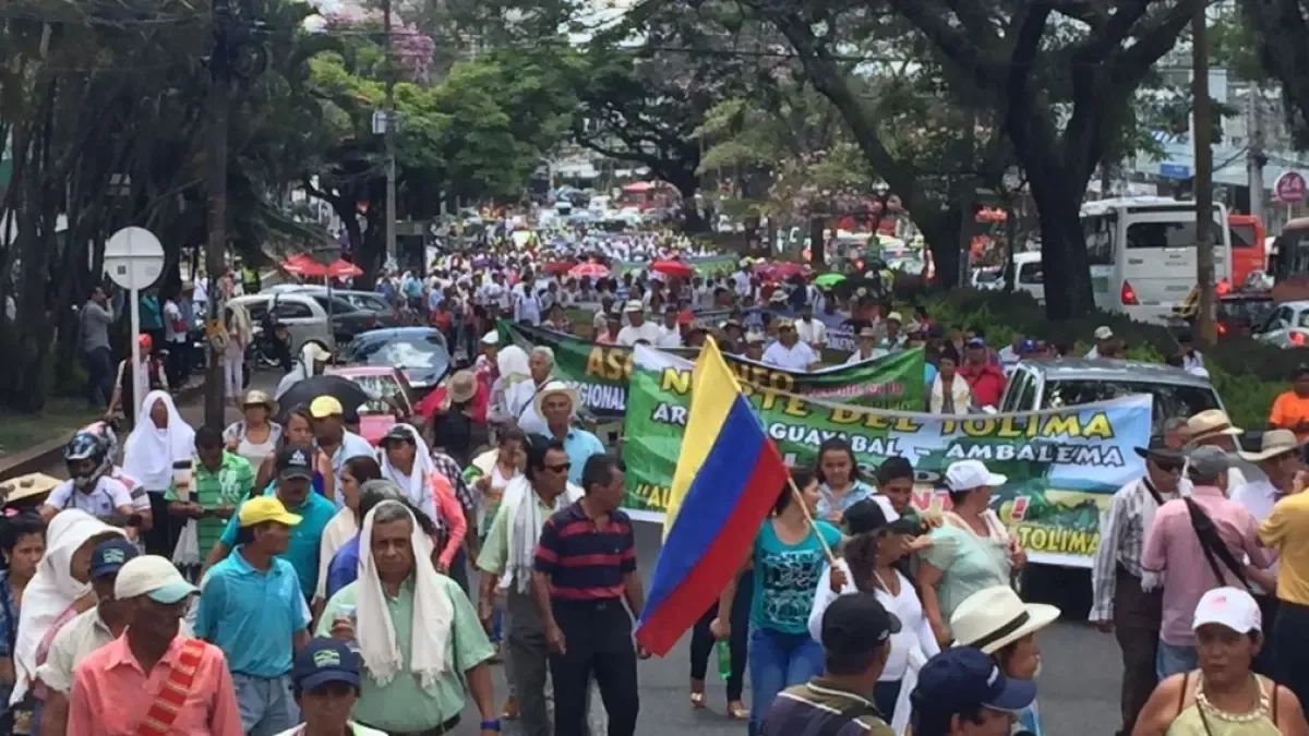 The reasons that have led producers to call for Colombia's second rice strike in 2025