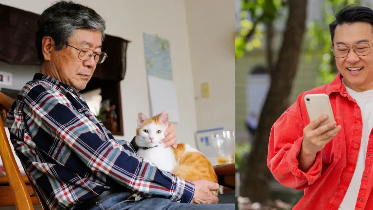 Hombre en China promete herencia millonaria a quien cuide a su gato de por vida