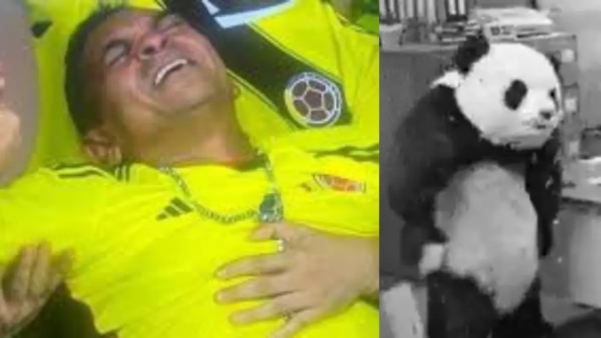 Finale der Copa América 2025 für Frauen: Die besten Memes aus dem Spiel zwischen Kolumbien und Brasilien