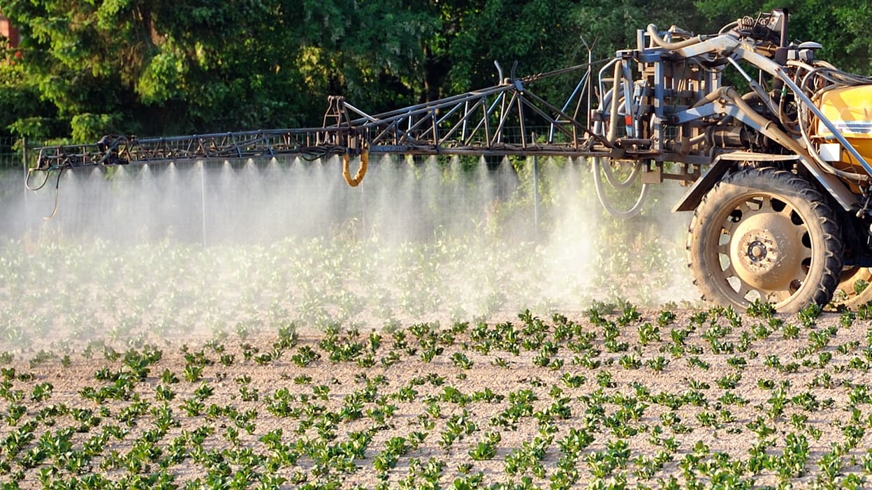 Exposição a pesticidas: lançada plataforma para informar sobre os riscos e desafiar o governo