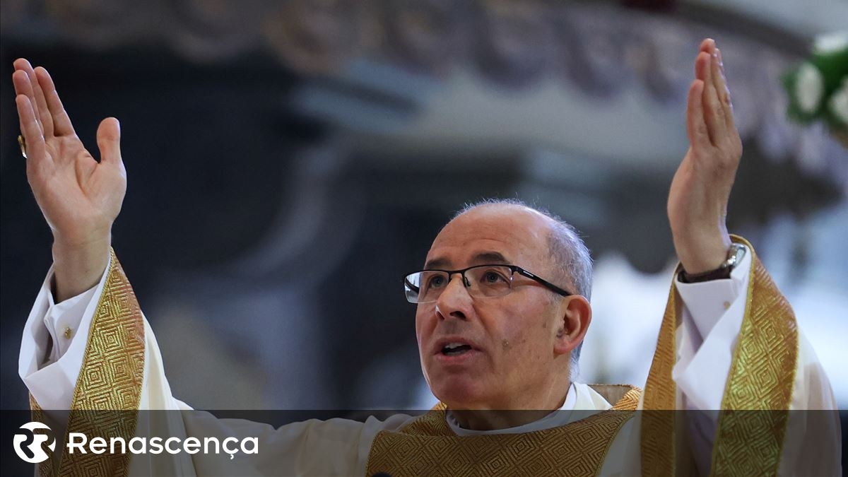 Pope Leo XIV was not chosen "for being perfect" but "for loving"