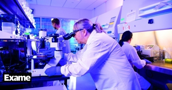 Pode a Inteligência Artificial curar o cancro?