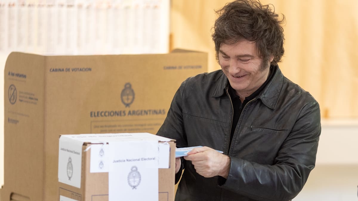 Milei triumphs in midterm elections and can continue his reforms