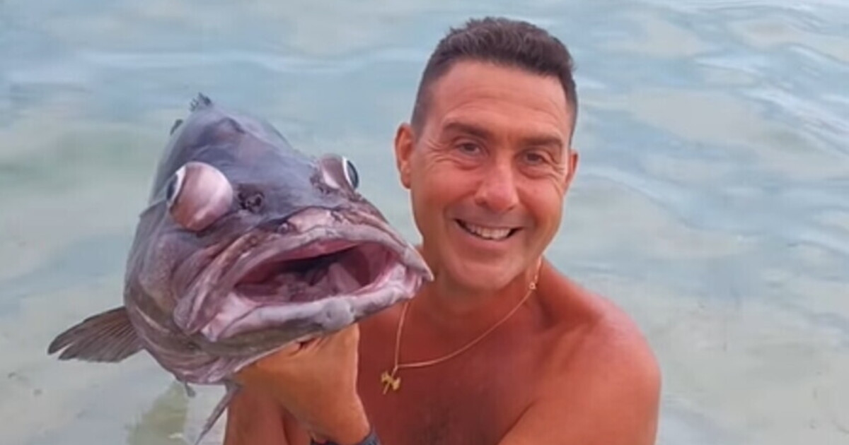 Vannacci fa il Vannacci, gli animalisti ci cascano e lo denunciano per il video con la cernia