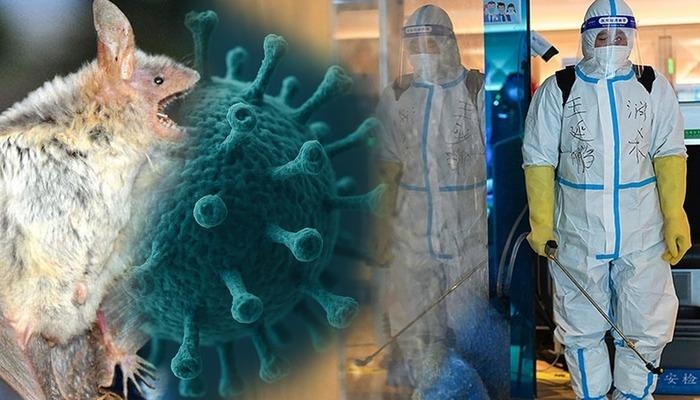 ¿Hay una nueva alerta viral transmitida por murciélagos en China? ¿Es el henipavirus una amenaza real? Declaraciones importantes de un experto...