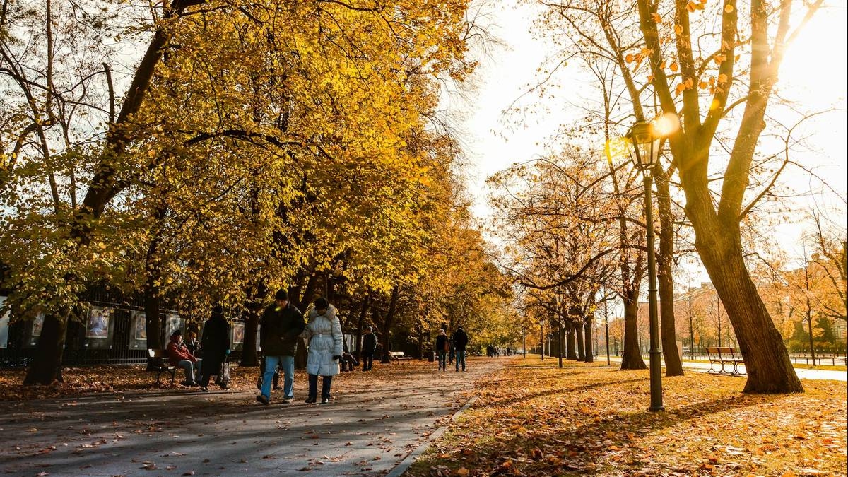 Wo in Polen verdienen die Menschen im Jahr 2025 am meisten? Liste der Städte