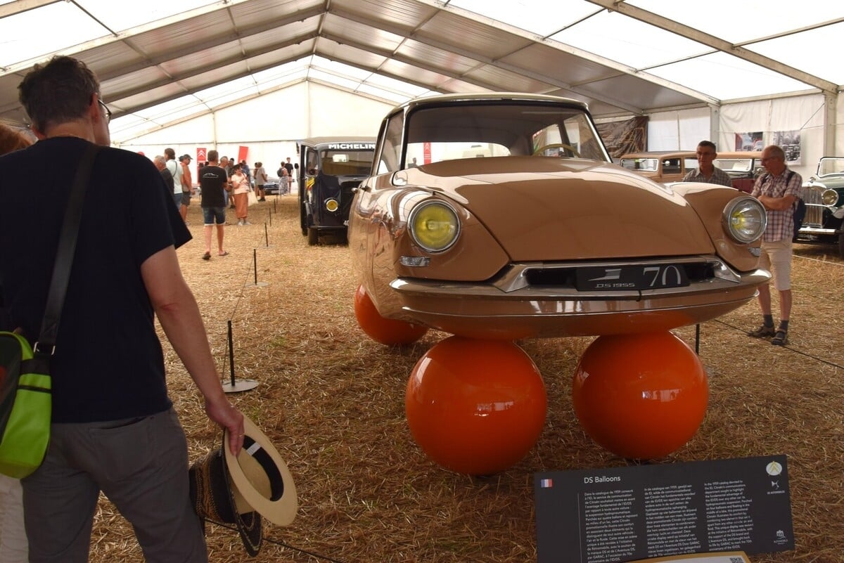 Citrodays ayrıca Champaubert'te de bulunmaktadır