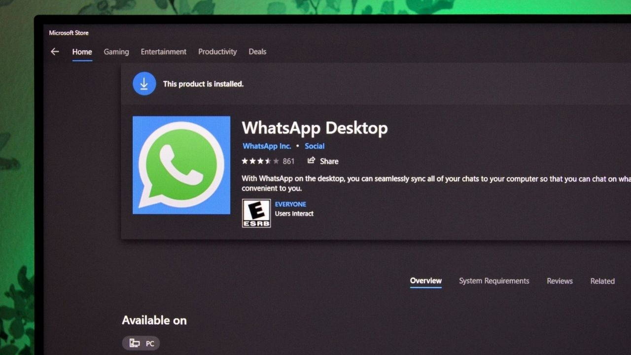 WhatsApp volverá a la versión antigua