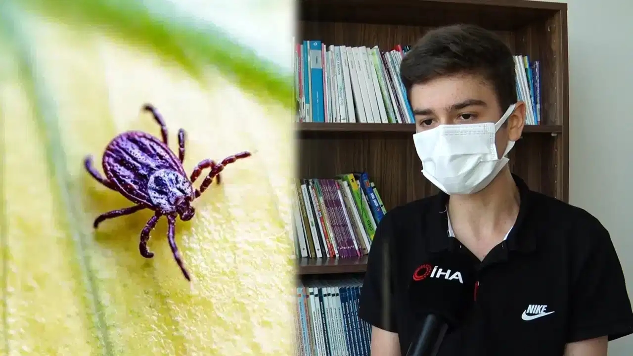 Se quitó la garrapata con sus propias manos: ¡vivió su pesadilla!