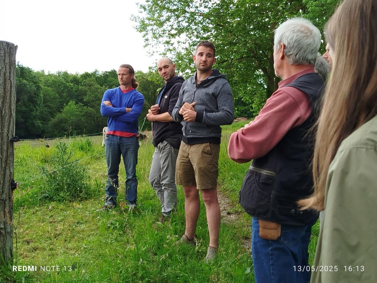 Landes: in Pey, this young breeder has chosen old cattle breeds and short supply chains