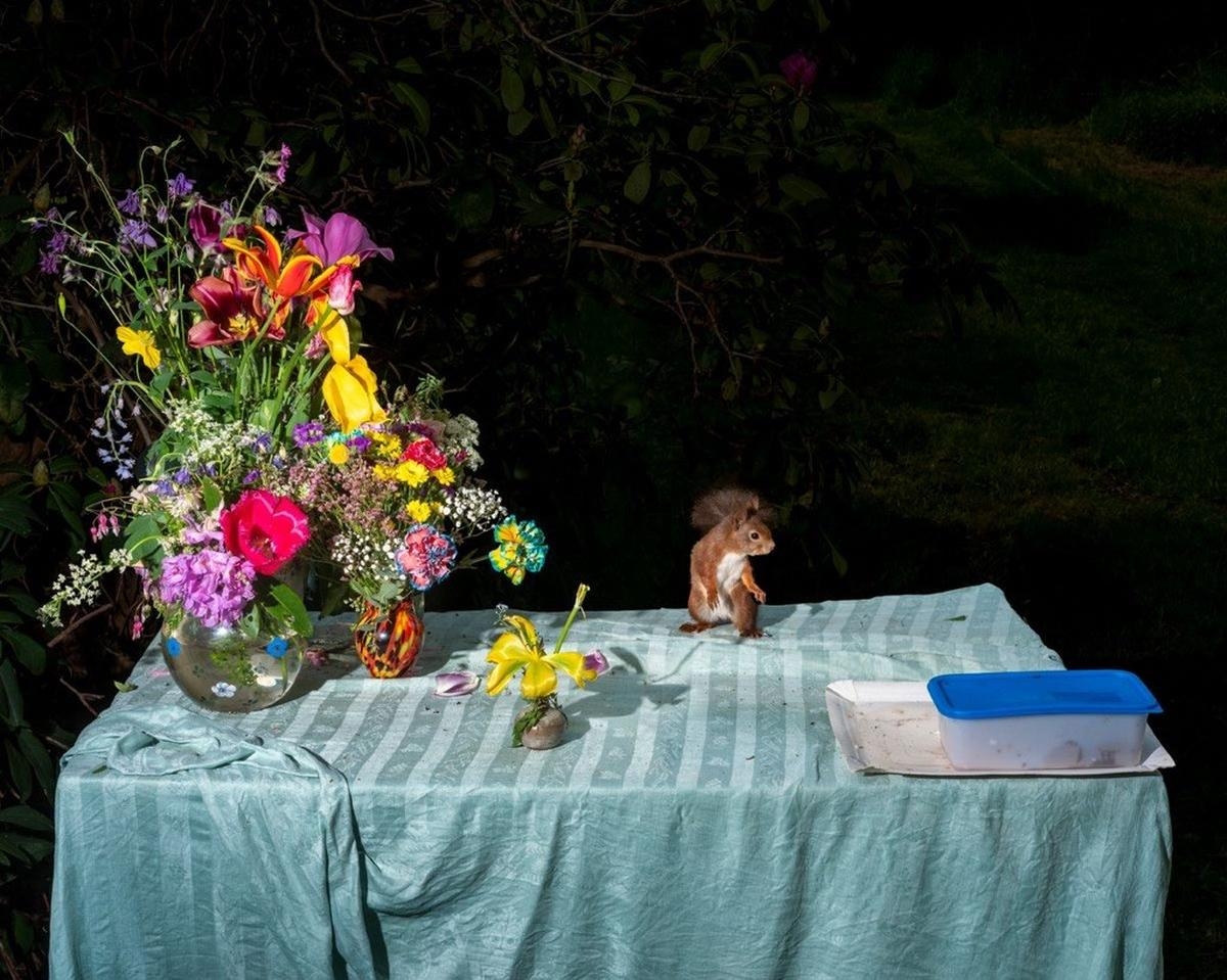 Bordeaux: gli animali si siedono a tavola sotto l'occhio della fotografa Lia Darjes