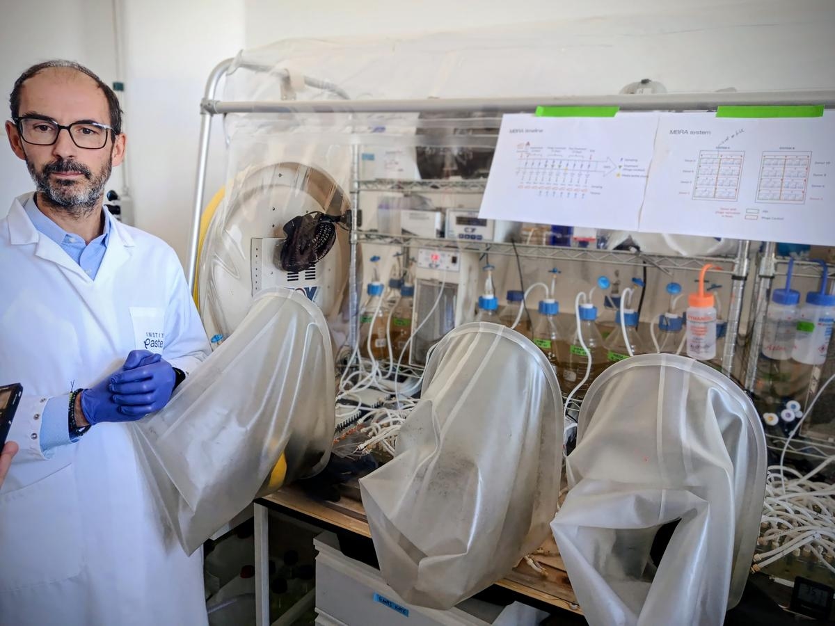 Was wäre, wenn unsere Gesundheit in erster Linie von der Mikrobiota abhinge? Die Wissenschaft macht Fortschritte