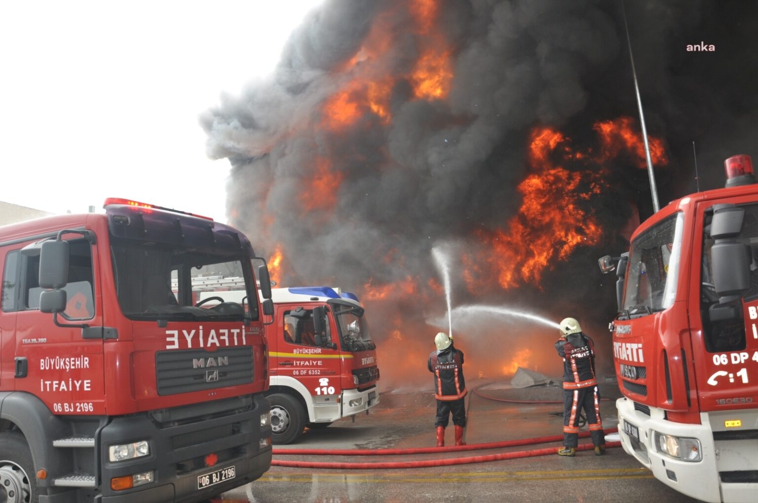 Situazione attuale degli incendi boschivi: 10mila ettari di terreno trasformati in cenere