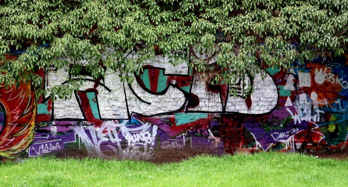 Do cinza ao verde: desenvolvimento integral de espaços urbanos com o "Terra Group"