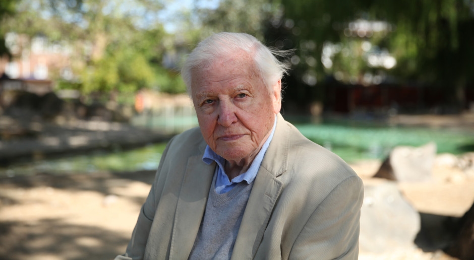 Love the outdoors? Celebrate Sir David Attenborough's 99th birthday with BBC Earth