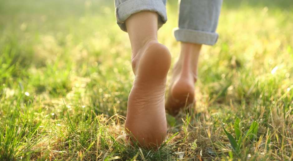 Vuoi vivere fino a 100 anni? Inizia a farlo 6 ore a settimana.