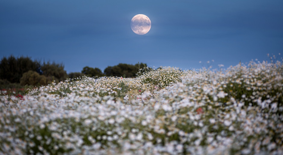 De volle maan van augustus komt eraan. Het zal een strijd tussen twee sterrenbeelden veroorzaken.